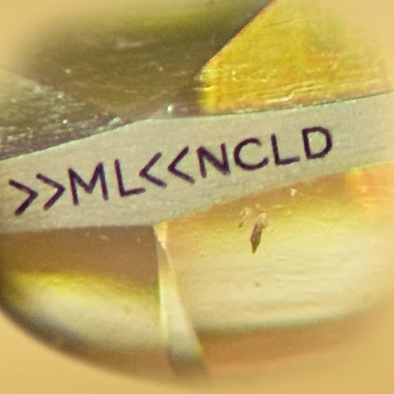 laser-inscribed